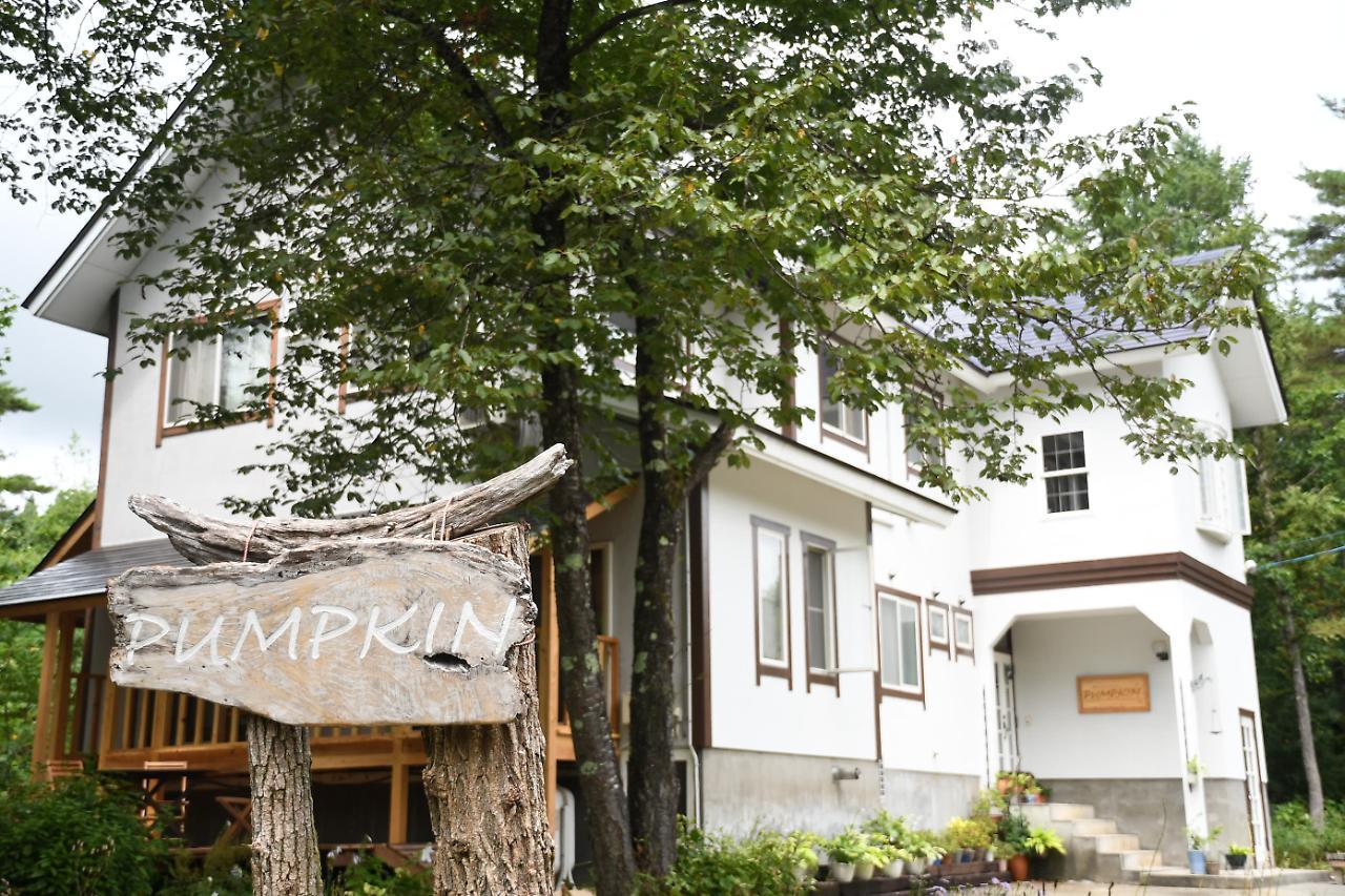 Natural Pension Pumpkin Otari Kültér fotó