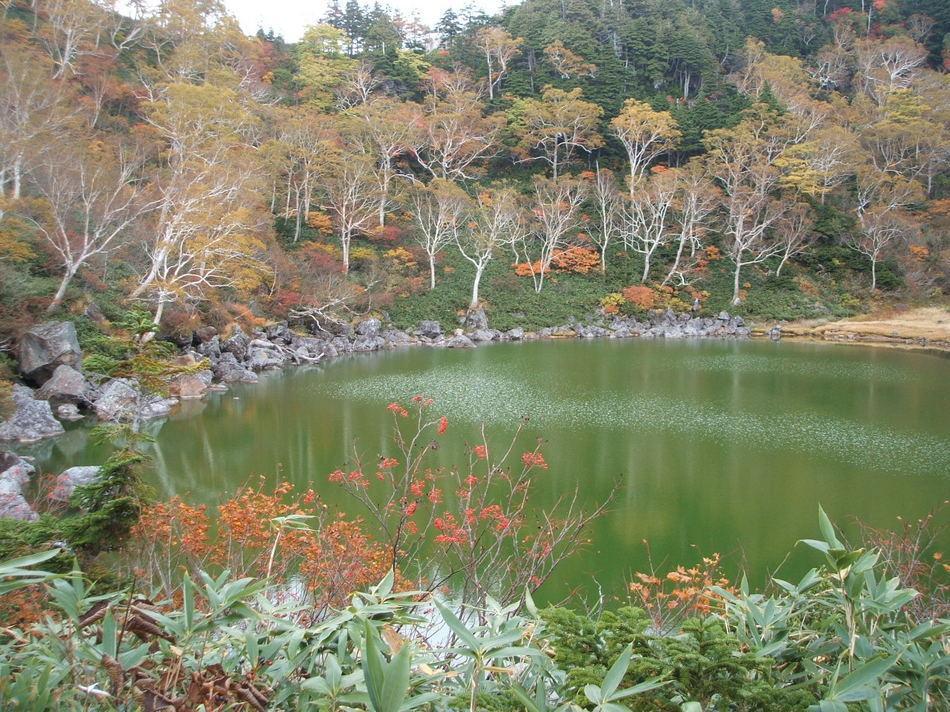 Natural Pension Pumpkin Otari Kültér fotó