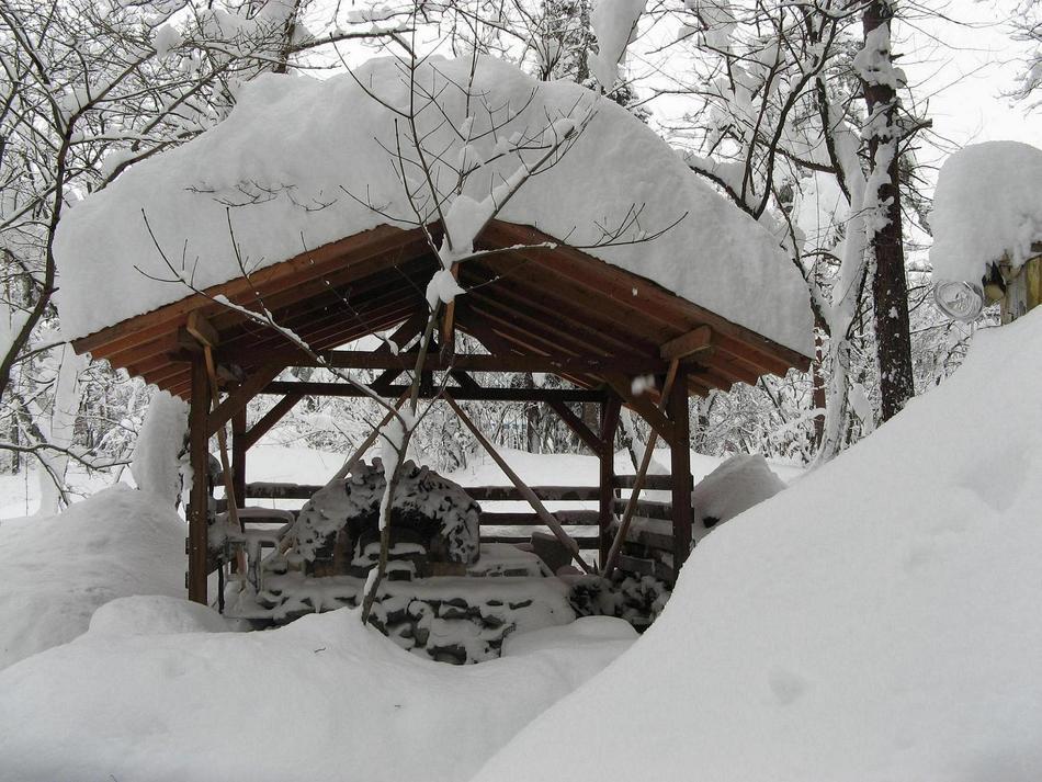 Natural Pension Pumpkin Otari Kültér fotó